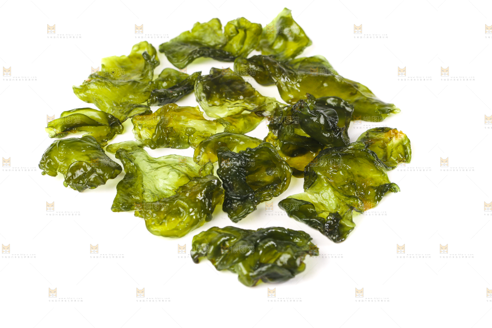 白底上的地皮菜