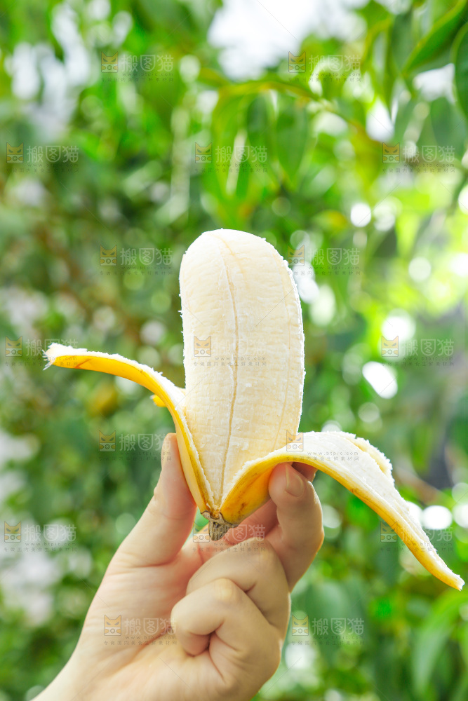 手拿剥皮的广西苹果蕉