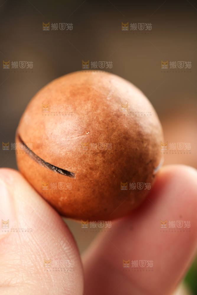 手拿夏威夷果