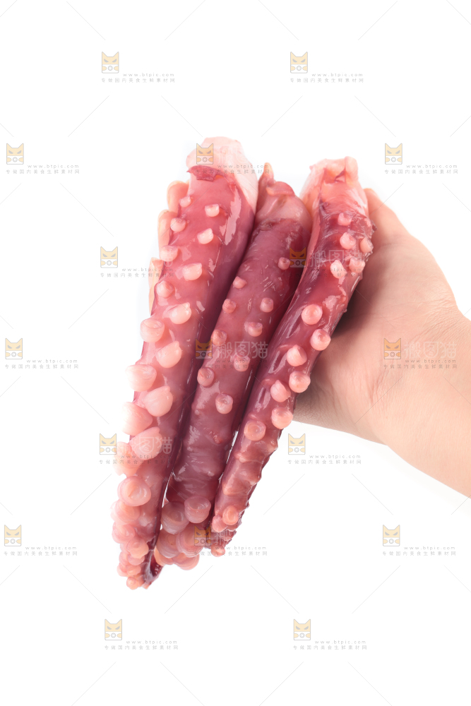白底上的鱿鱼须