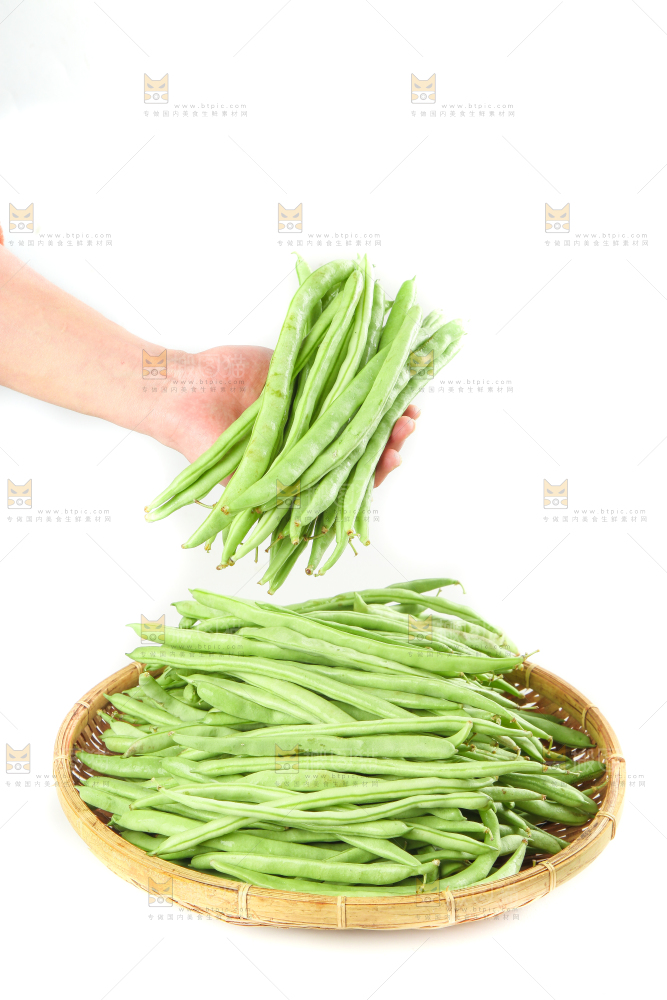 手里拿着鲜嫩四季豆