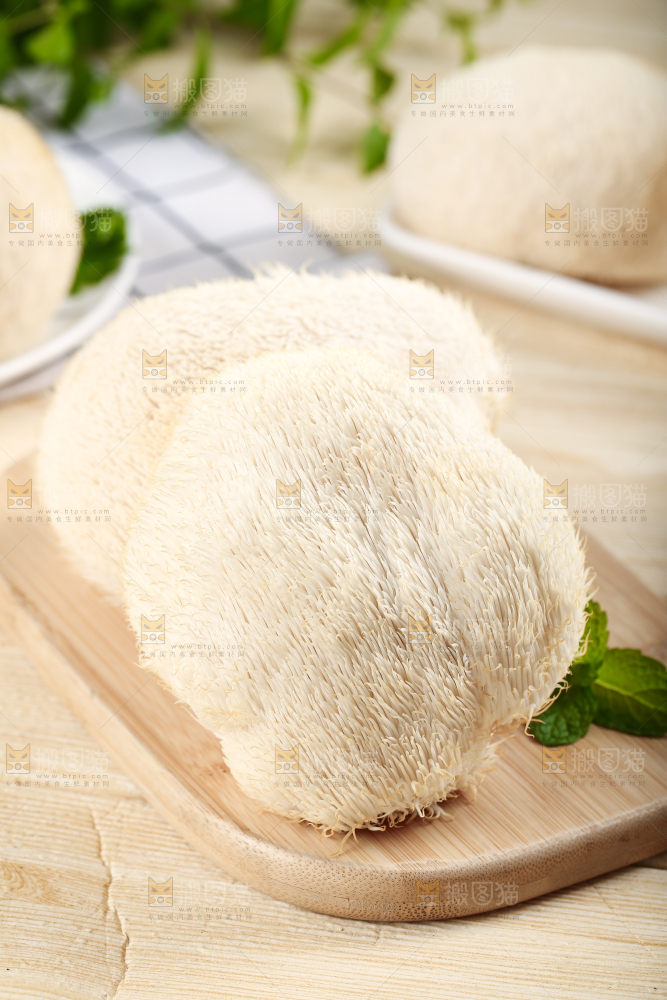 木板上放着长白山猴头菇