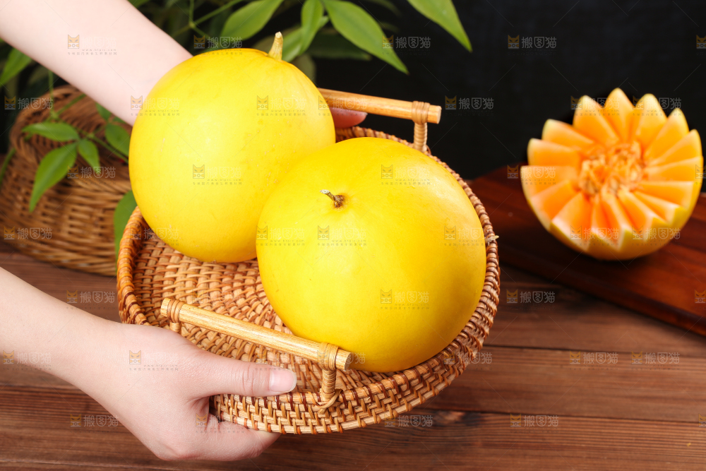 手端一盘黄河蜜瓜