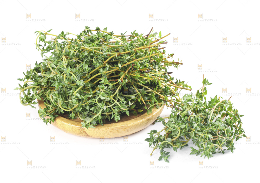 一盘麝香草放在白底上