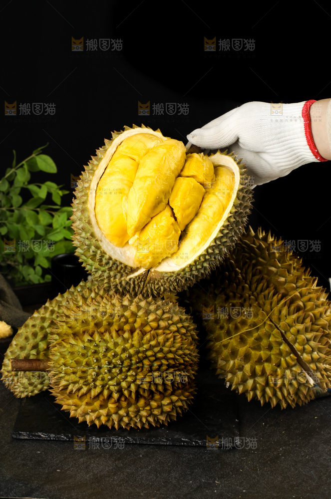 黑底上的进口甲仑榴莲