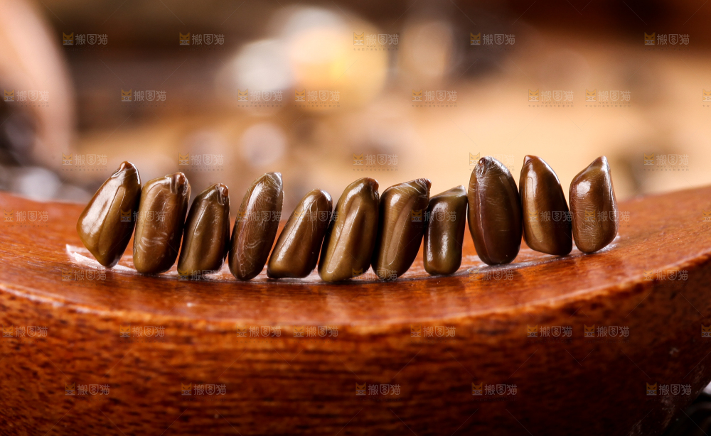 勺子里的马蹄决明