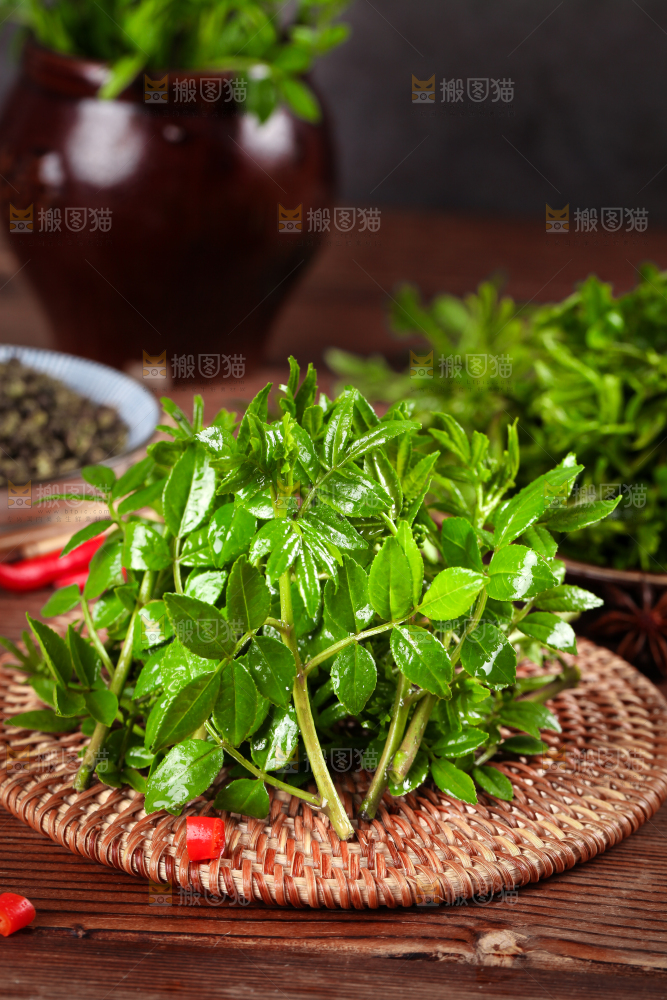 木底上的麻香花椒芽
