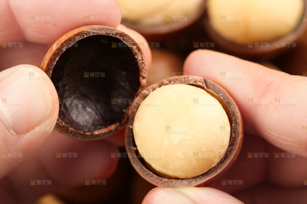 手拿夏威夷果