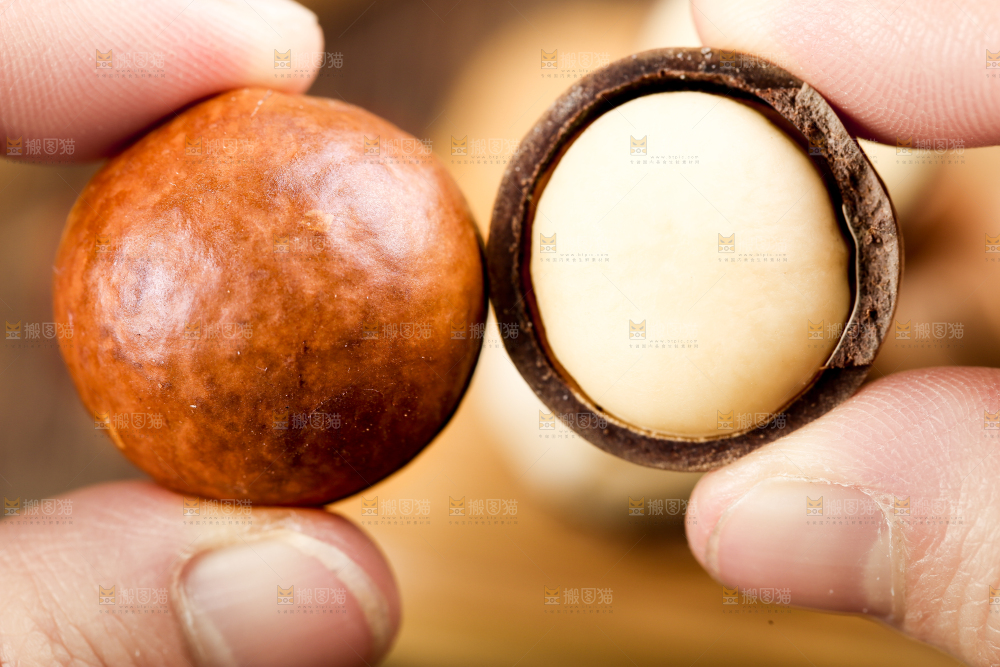 手拿夏威夷果果仁