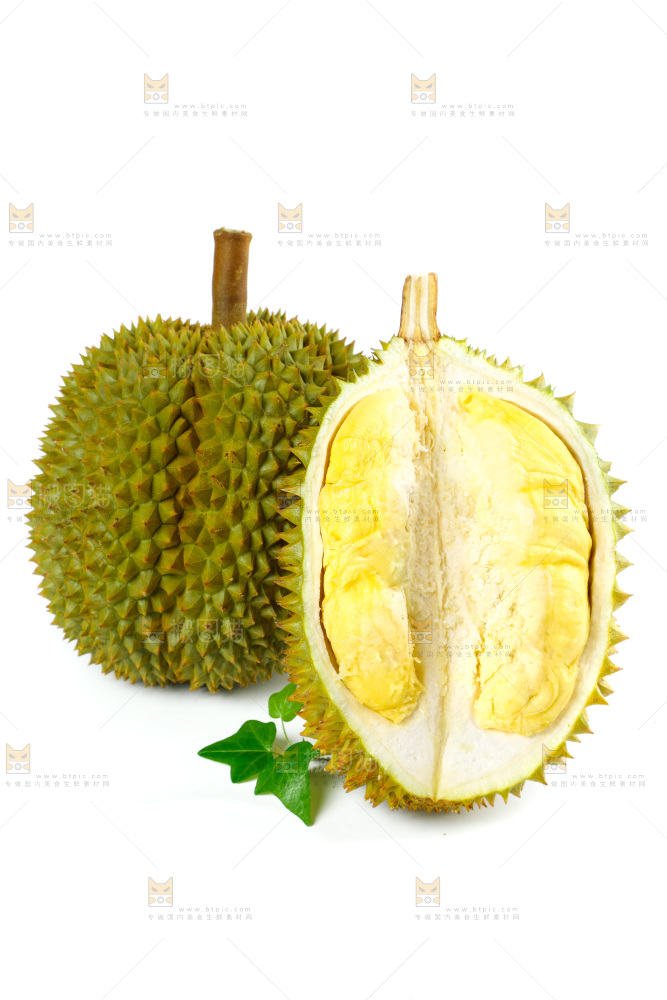 白底上的泰国榴莲