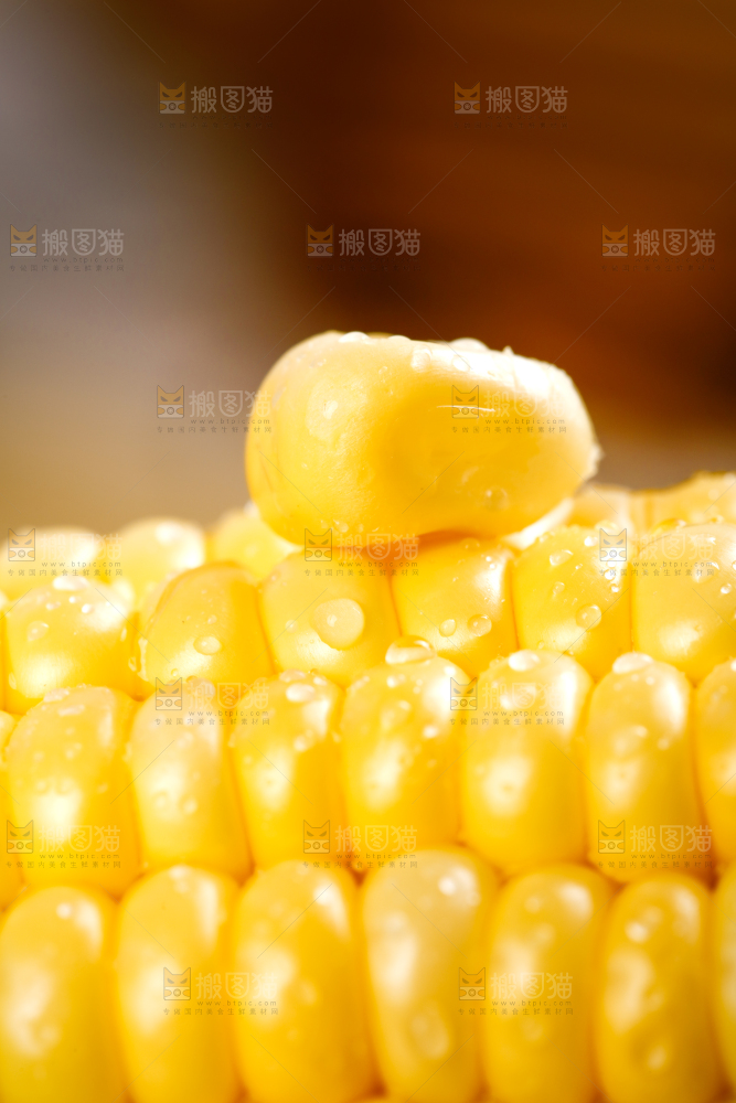 浅底上的黄玉米