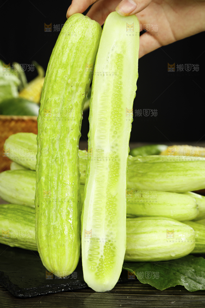 手拿切开的白玉黄瓜