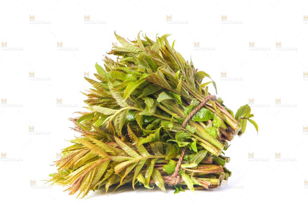 白底上放着野生香椿芽