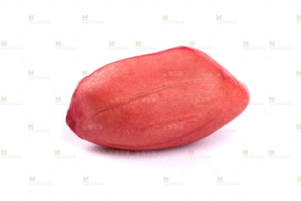 东北红皮花生放在白底上