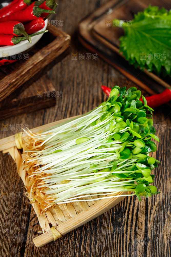 木底上放着新鲜的香椿芽苗