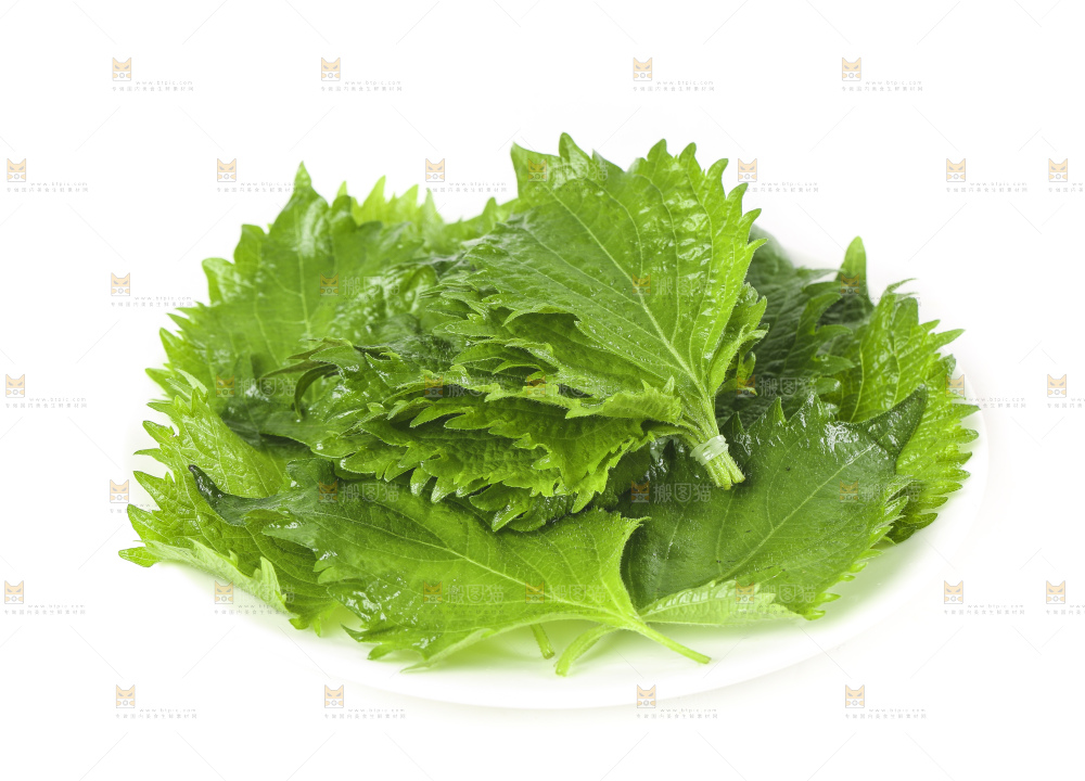 一盘东北苏子叶放在白底上