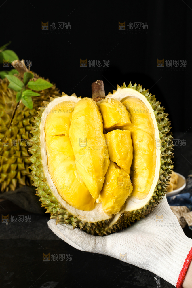 黑底上的进口甲仑榴莲