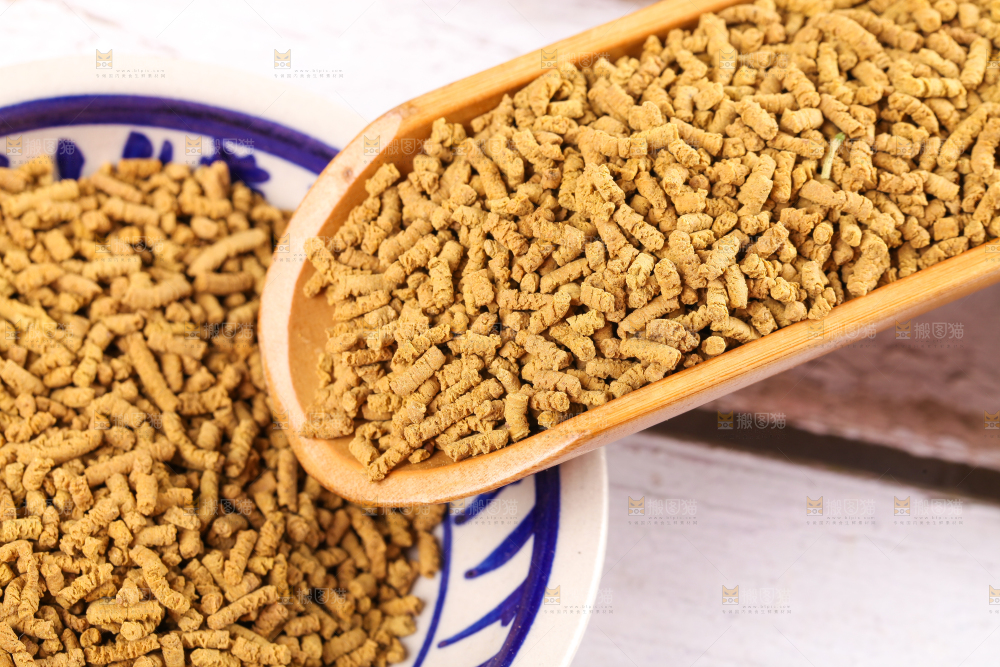 勺子里的全株黄苦荞