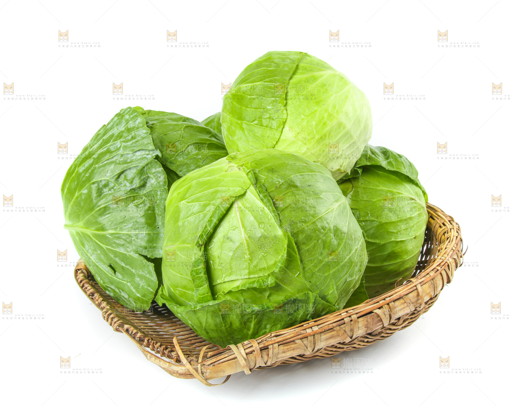一筐新鲜包心菜放在白底上