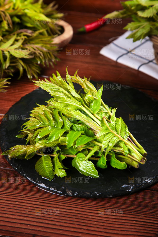黑石板上的山东香椿芽