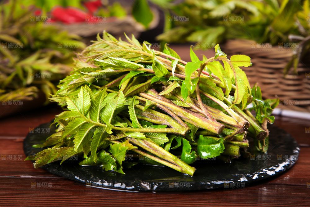 黑石板上的山东香椿芽