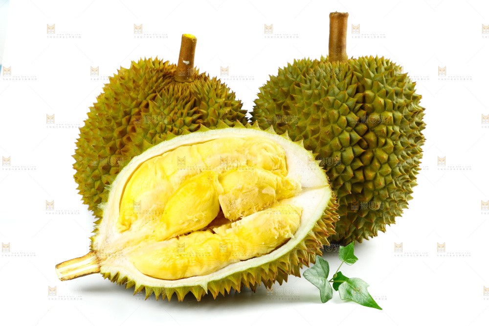 白底上的泰国榴莲