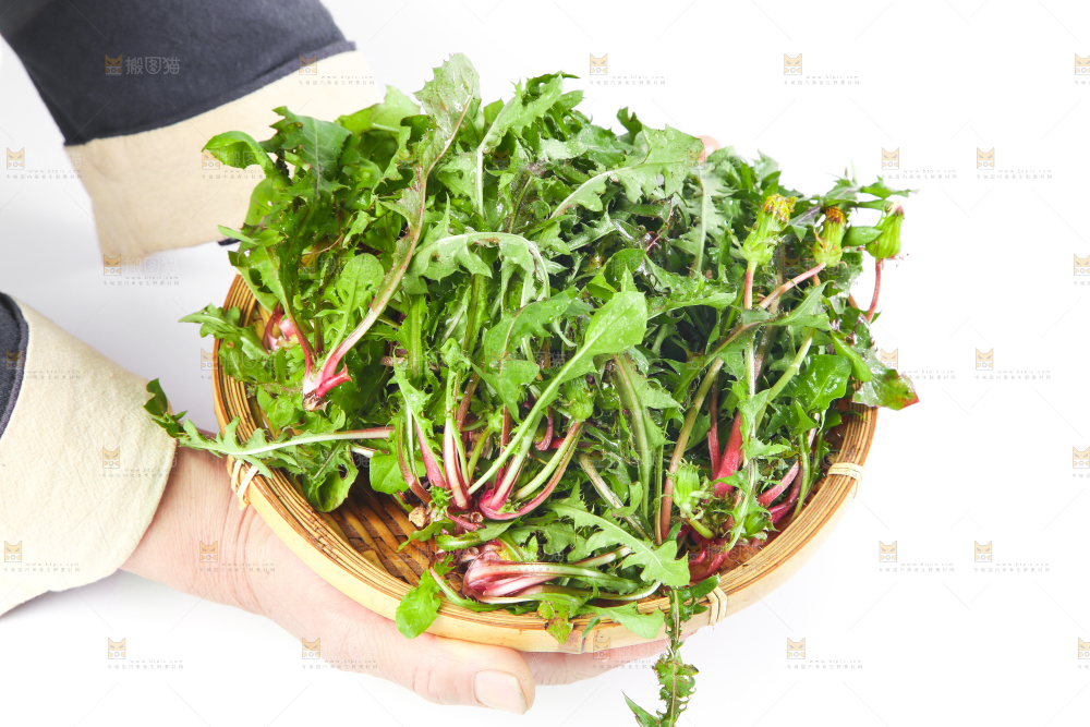 手拿一筐蒲公英