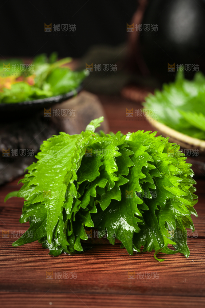 木板上的青紫苏叶
