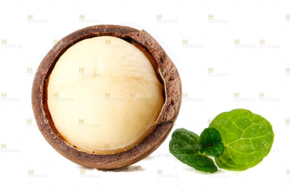 白底上的夏威夷果