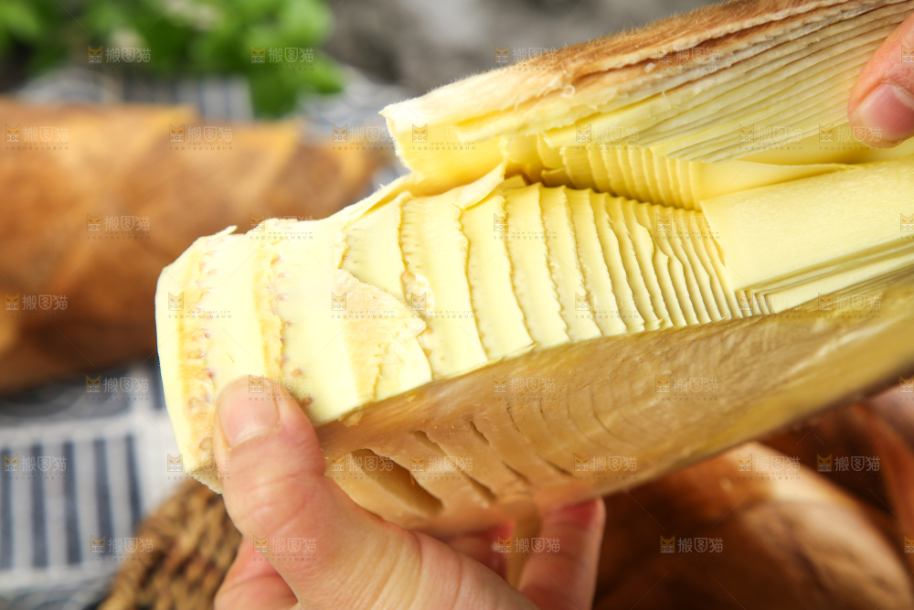 手拿切开的临安冬笋