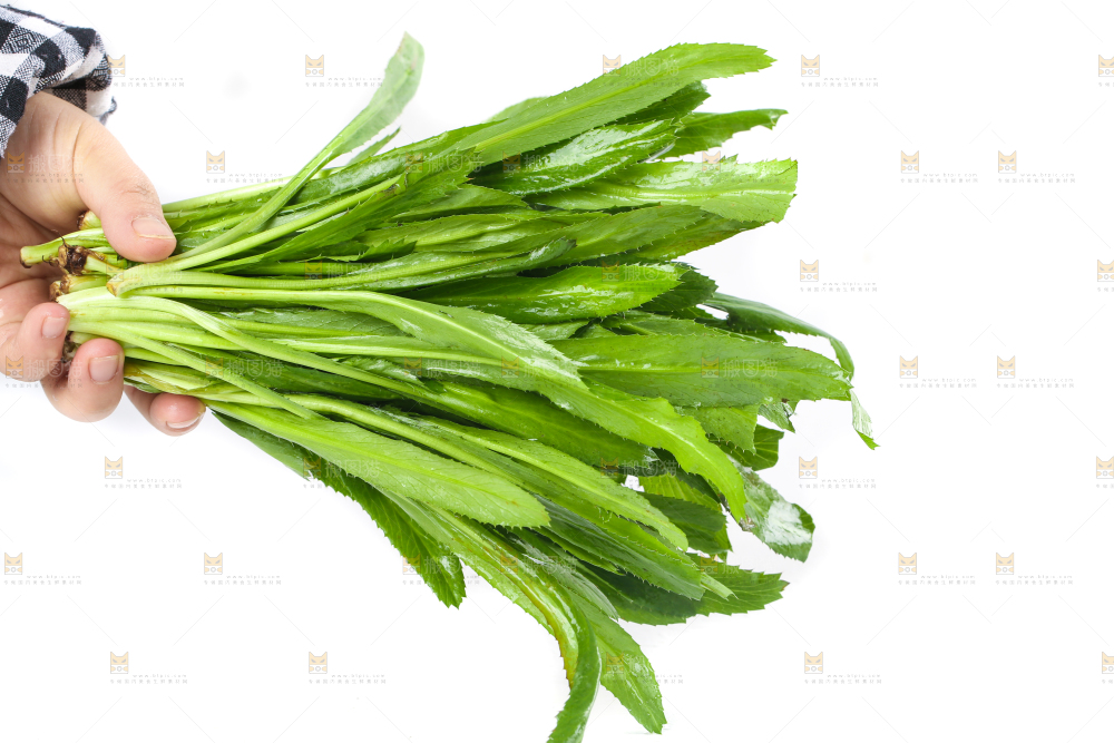 手拿云南大香菜