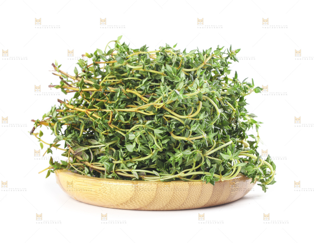 一盘麝香草放在白底上