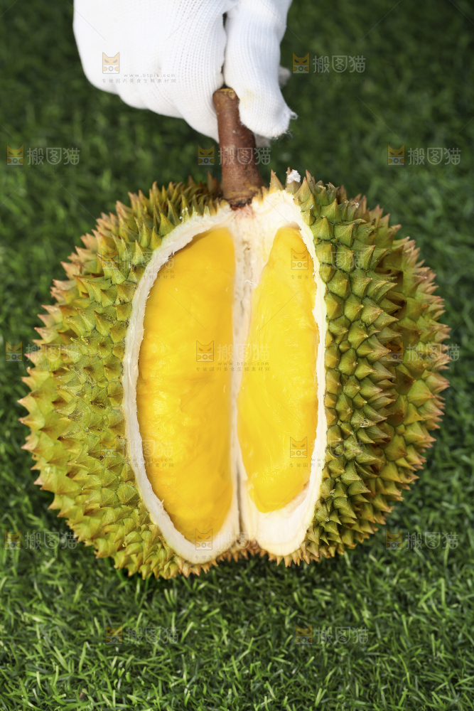 手里拿着新鲜榴莲
