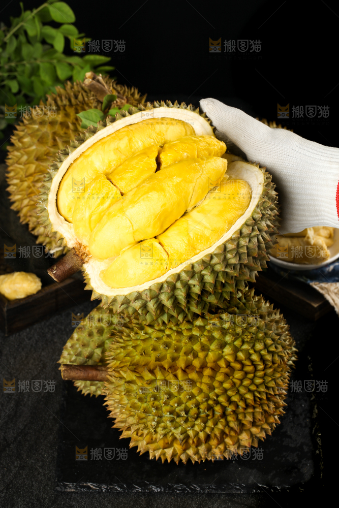 黑底上的进口甲仑榴莲