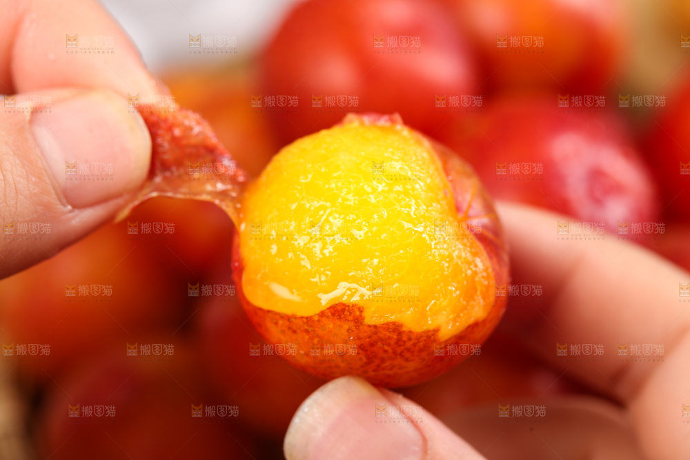 手里拿着新鲜李子