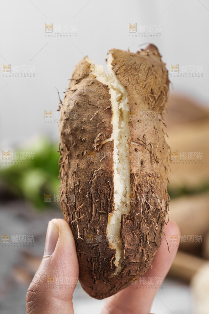 手拿蒸熟的毛薯