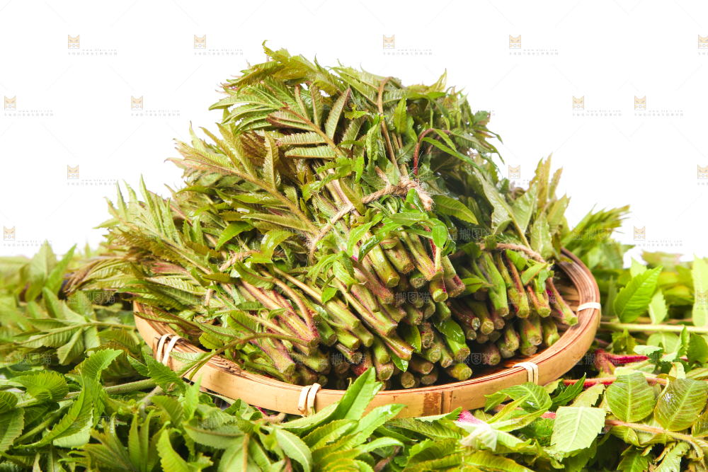 浅底上放着沂蒙山香椿芽