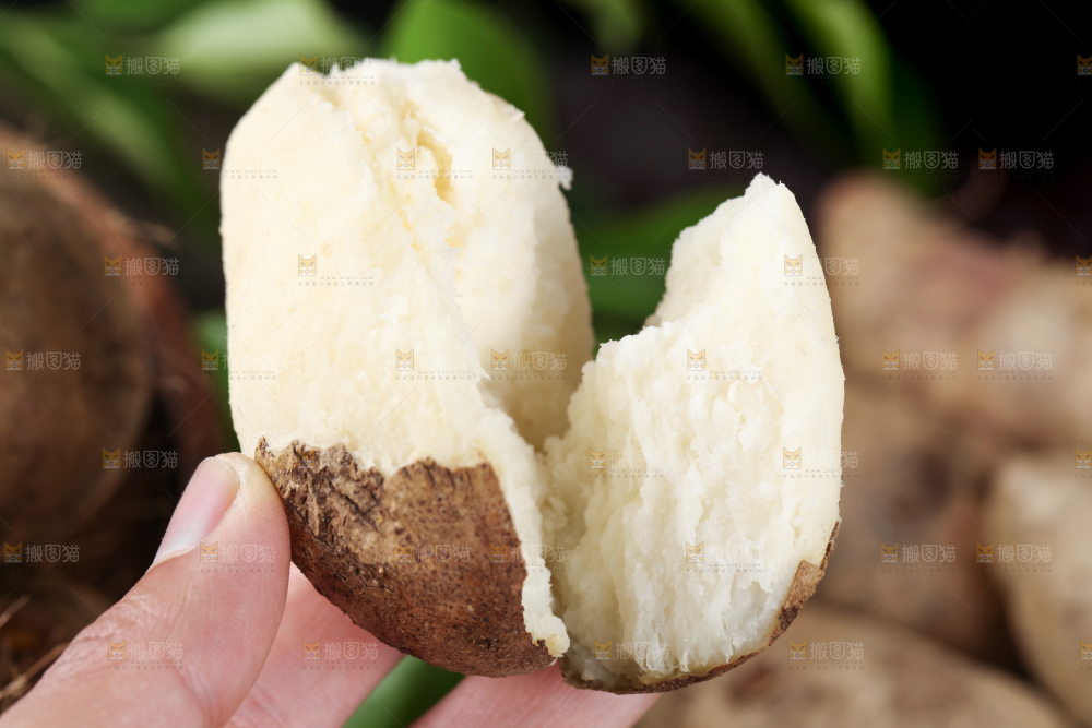 手拿掰开的熟毛薯