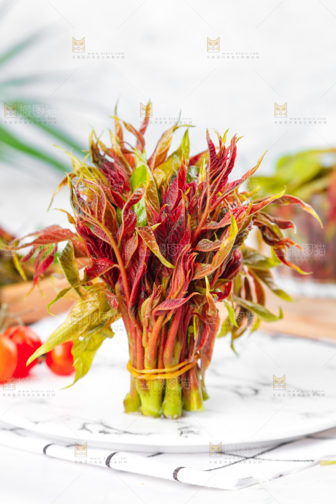 浅底上的香椿芽