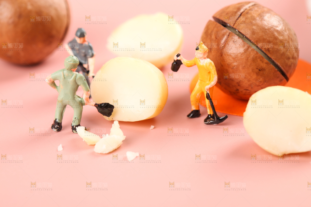 浅底上的夏威夷果
