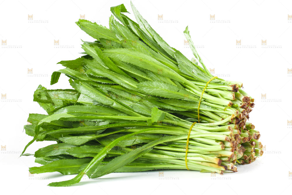 白底上的大香菜