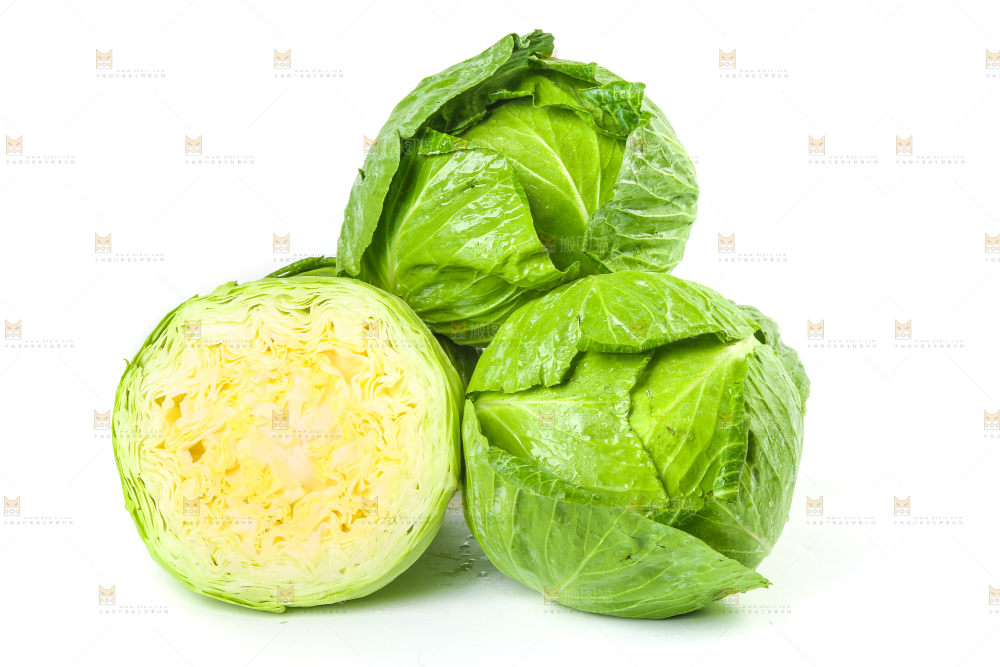 切开的卷心菜放在白底上