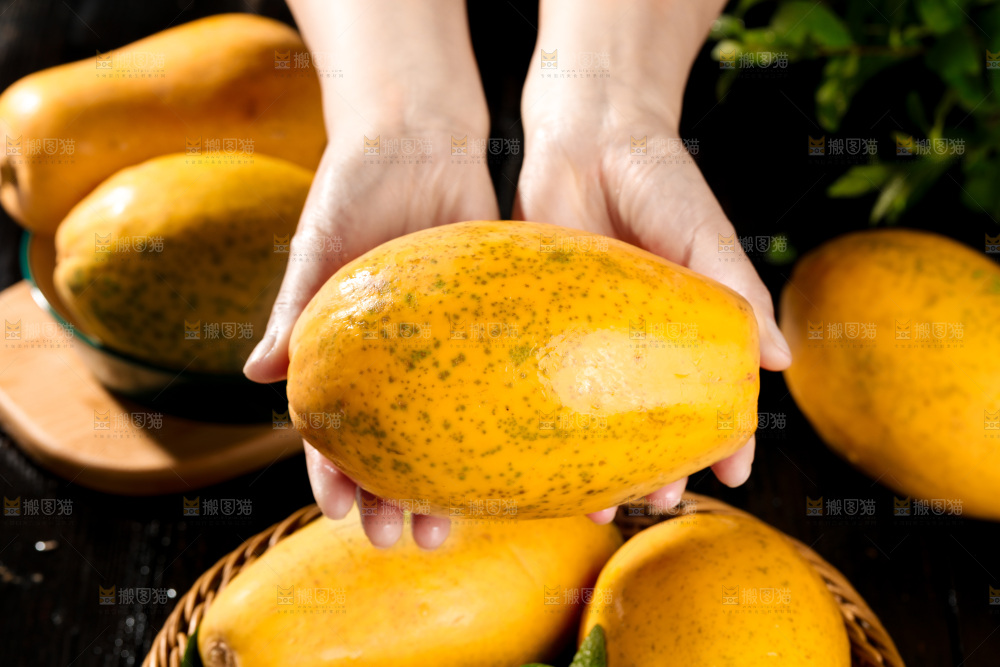 黑底上的广西冰糖心木瓜