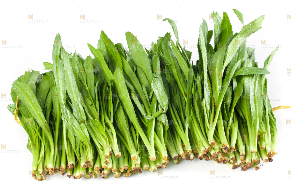 白底上的云南大香菜