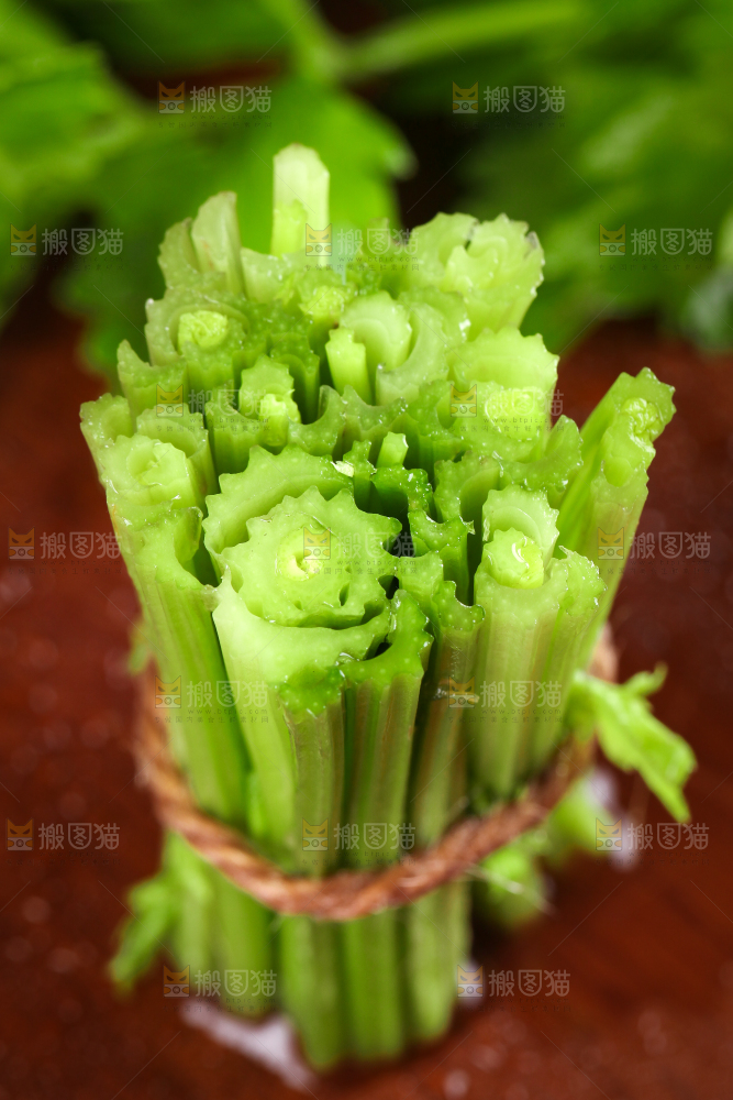 深底上的青岛新鲜芹菜