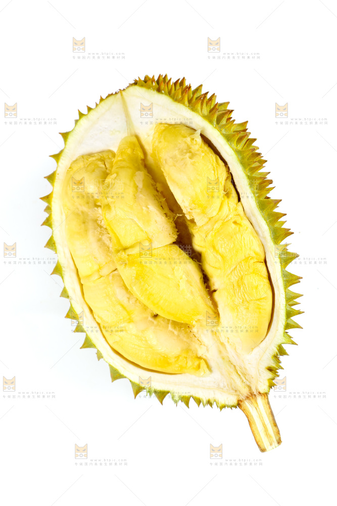 白底上的泰国榴莲