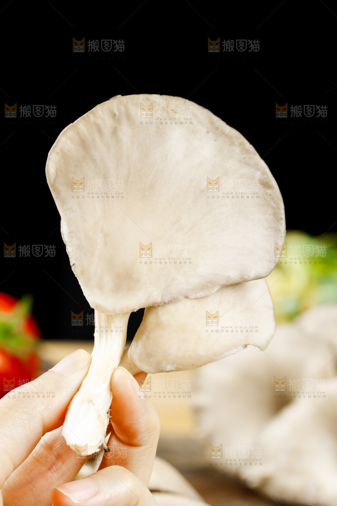 手拿新鲜平菇