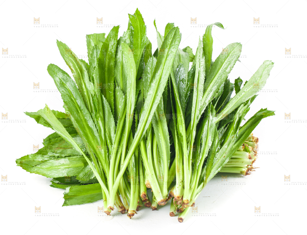 白底上的大香菜