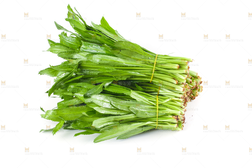 白底上的大香菜