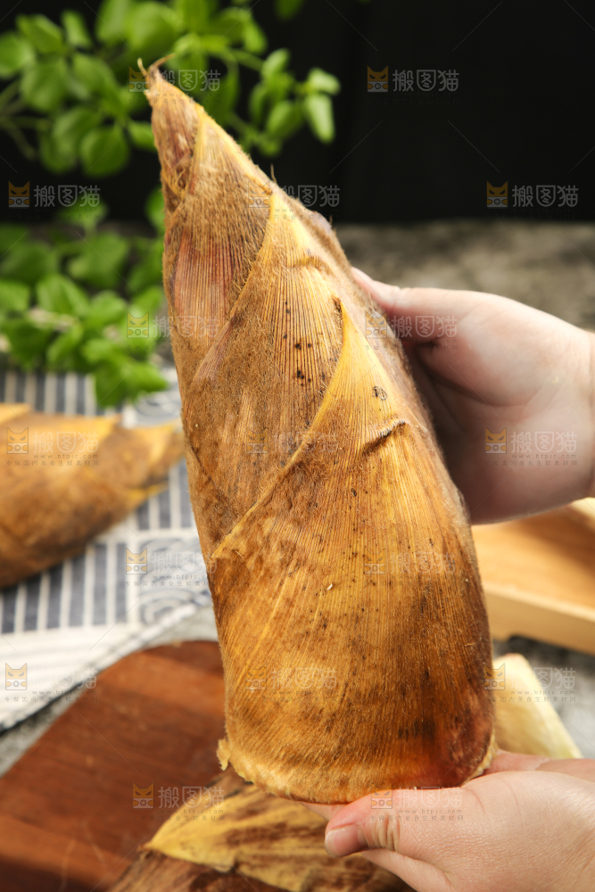 手拿竹笋